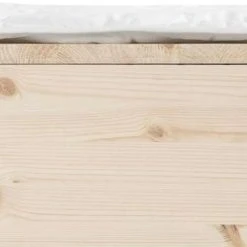 Familon Original Vauvan Sijauspatja 60x120 Cm