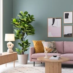 Veke Scandic Copenhagen 3-istuttava Sohva Tummanharmaa Malmo 96 , Mustat Jalat -Veke Myymälä house nordic lyyraviikuna viherkasvi 190 cm web 6